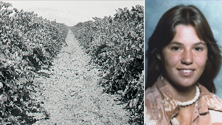 Un adolescent retrouvé dans une tombe peu profonde d'un vignoble californien identifié près de 50 ans plus tard alors que sa famille met en garde contre le tueur