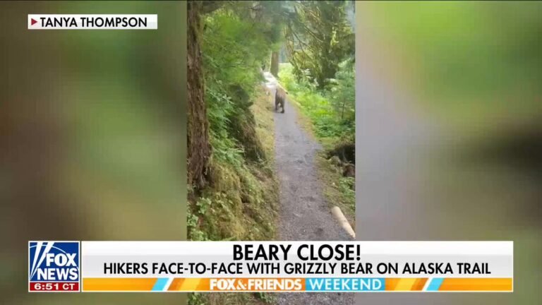 Un groupe de randonneurs raconte le moment bouleversant où ils se sont retrouvés nez à nez avec un grizzly…