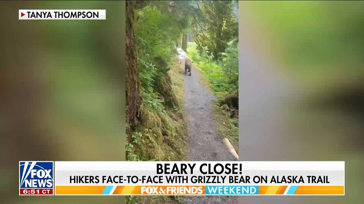 Un groupe de randonneurs raconte le moment bouleversant où ils se sont retrouvés nez à nez avec un grizzly…