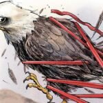 Das : La fin de la grandeur américaine ?
