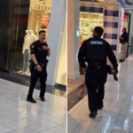 Au moins un coup de feu et un arrêté après un tir actif signalé dans un centre commercial du Texas (police)