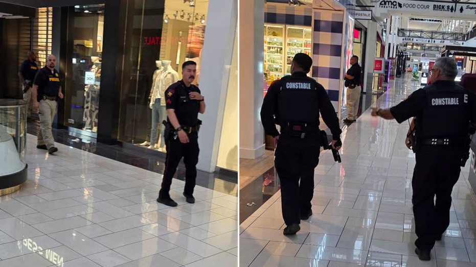 Au moins un coup de feu et un arrêté après un tir actif signalé dans un centre commercial du Texas (police)