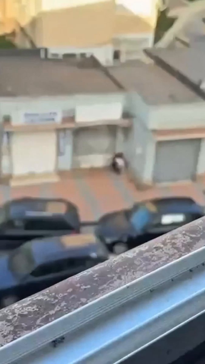 Les habitants de Ceuta filment désormais les migrants illégaux en train de faire leurs besoins dans leurs…