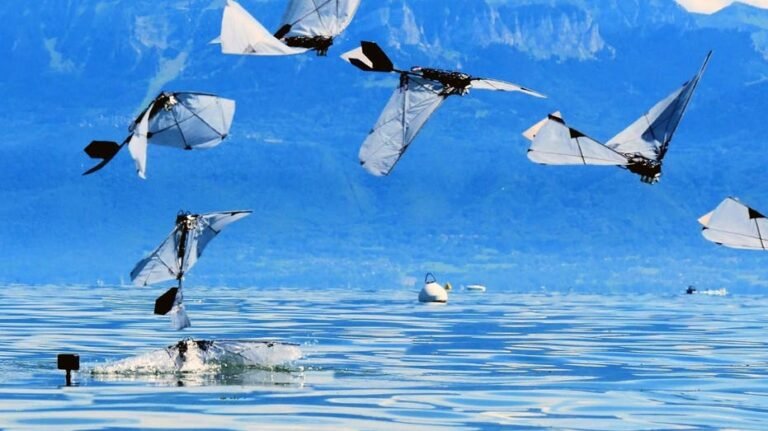 Un oiseau robot nage sous l'eau puis s'envole