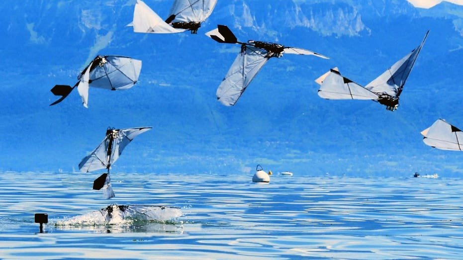 Un oiseau robot nage sous l'eau puis s'envole