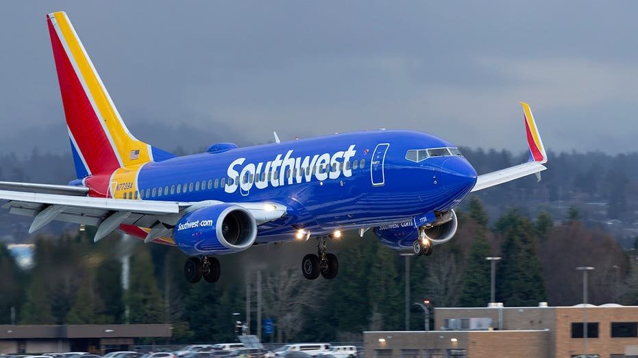 ICE arrête un agent de bord de Southwest Airlines à Nashville pour avoir dépassé la durée de séjour de son visa depuis 2021