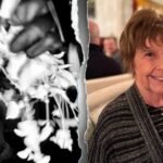 Mise à jour de Nancy Guthrie : l'ADN n'a pas pu être profilé à partir d'un échantillon de cheveux sur la scène du crime, selon le shérif