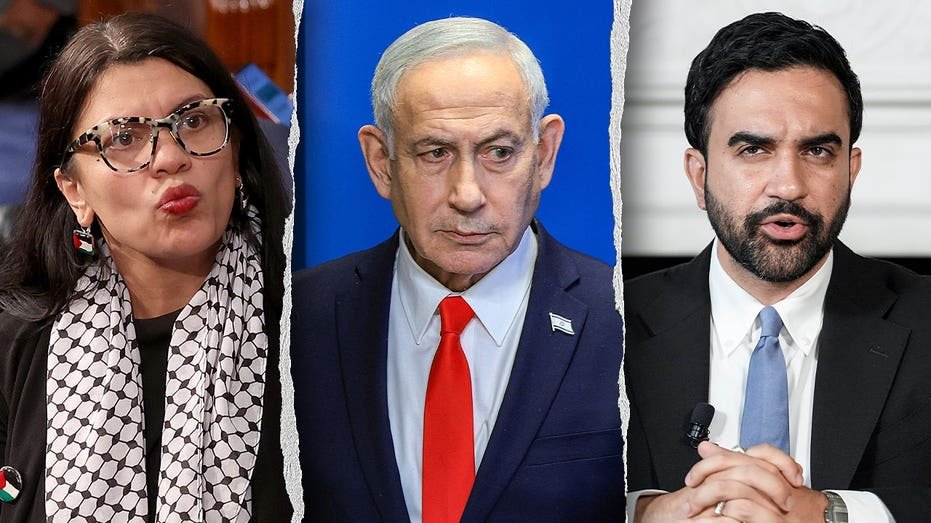 REGARDER : Tlaib dit à Mamdani de « m'appeler » pour l'aider à arrêter Netanyahu alors que les démocrates restent divisés