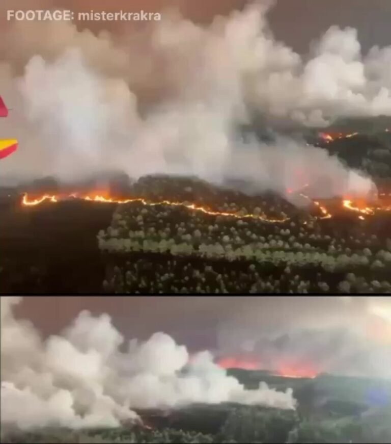 Un incendie de forêt massif éclate à seulement 15 km de Bordeaux alors que des images aériennes…