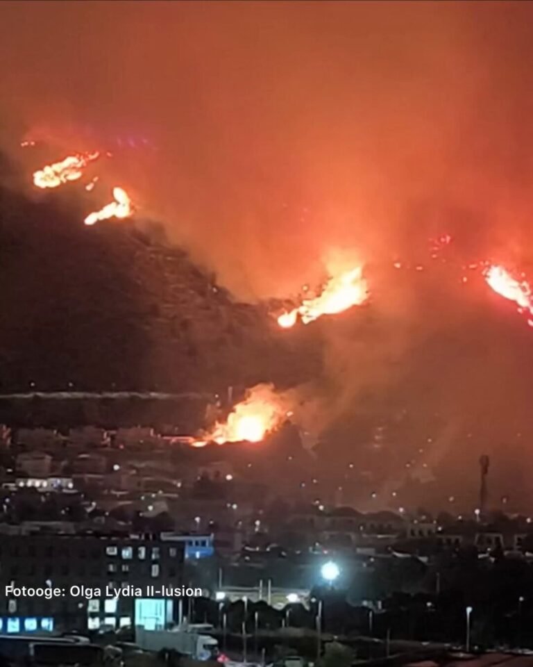 Un incendie de forêt qui se propage rapidement dans la région espagnole de Valence a contraint environ 16…