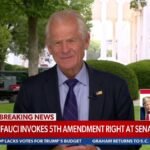 Peter Navarro : « Les journaux de Fauci sont en grande contradiction avec sa personnalité publique.