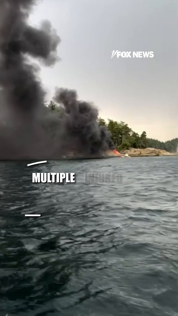 Un hydravion de Kenmore Air prend feu après avoir effectué un atterrissage d'urgence au large de l'île…