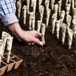 4 actions énergétiques à dividendes à acheter ce mois-ci, à commencer par ExxonMobil