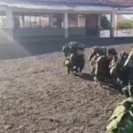 🇨🇴 Un séisme de magnitude 7,4 a frappé la Colombie en plein exercice d'entraînement militaire sur un champ…