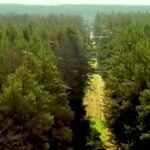 L'Ukraine a publié des images de forêts du district de Vovchansk à Kharkiv étouffées par des câbles à…