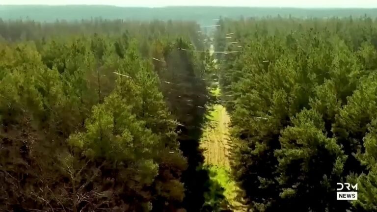 L'Ukraine a publié des images de forêts du district de Vovchansk à Kharkiv étouffées par des câbles à…