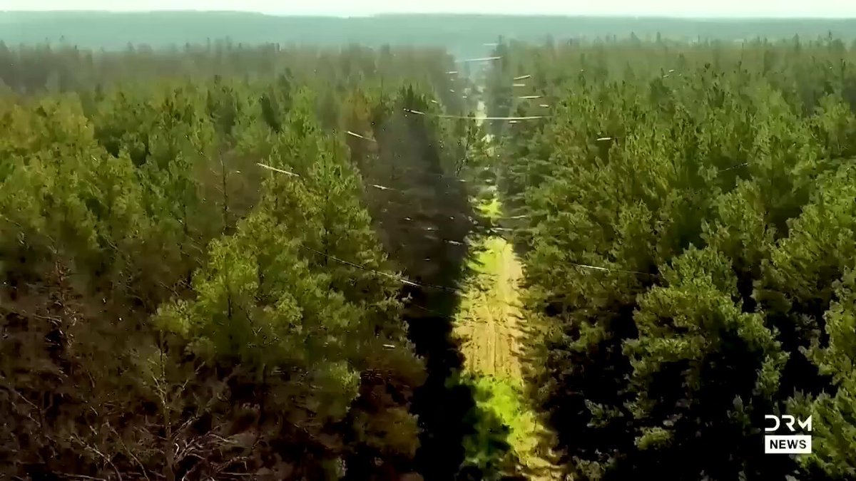 L'Ukraine a publié des images de forêts du district de Vovchansk à Kharkiv étouffées par des câbles à…