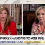 "Ils essaient de faciliter la triche." La sénatrice républicaine Marsha Blackburn fustige les démocrates…