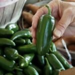 Diarrhée-Gate : une ferme de Sinaloa, 345 malades et deux chaînes de restaurants en baisse à deux chiffres