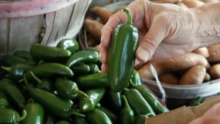 Diarrhée-Gate : une ferme de Sinaloa, 345 malades et deux chaînes de restaurants en baisse à deux chiffres