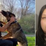 Un immigrant clandestin soupçonné d'être inculpé dans un accident qui a tué un policier et sa petite amie