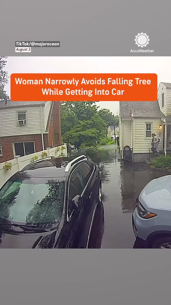 Terrifiant incident rapproché alors qu'un arbre qui tombe manque de peu une femme qui monte dans sa…