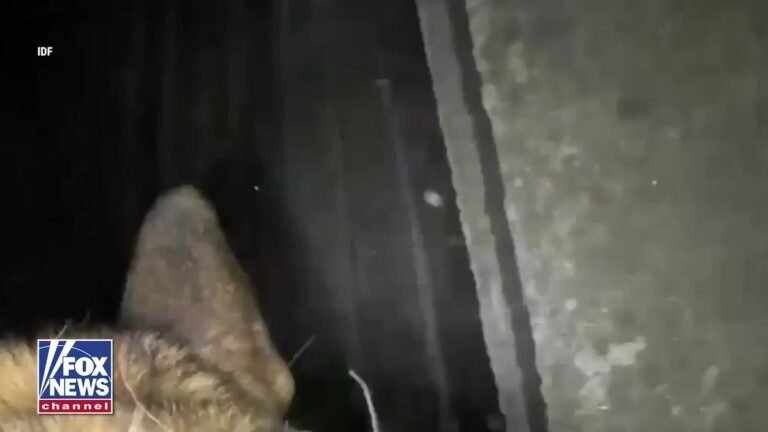 Un K-9 de Tsahal court à travers les sombres tunnels souterrains de la terreur à Gaza avec une caméra…