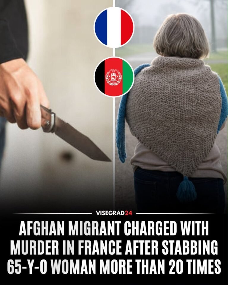 Un demandeur d'asile afghan de 29 ans a été accusé de meurtre après avoir poignardé une vingtaine de fois…