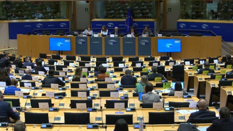 La commission LIBE du Parlement européen (commission des libertés civiles, de la justice et des affaires…