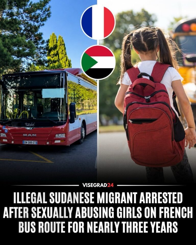 Un migrant soudanais clandestin de 54 ans a été arrêté à Toulouse, en France, après avoir commis une série…