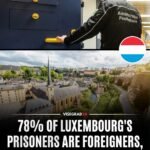 Le Luxembourg compte la plus forte proportion d’étrangers incarcérés en Europe, avec 78 % de détenus…