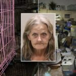 Un facteur de Floride est accusé d'avoir secrètement collecté des animaux de compagnie sur son itinéraire…