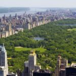 Zohran Mamdani dévoile son plan visant à augmenter la canopée des arbres de New York à 30 % d'ici 2040.