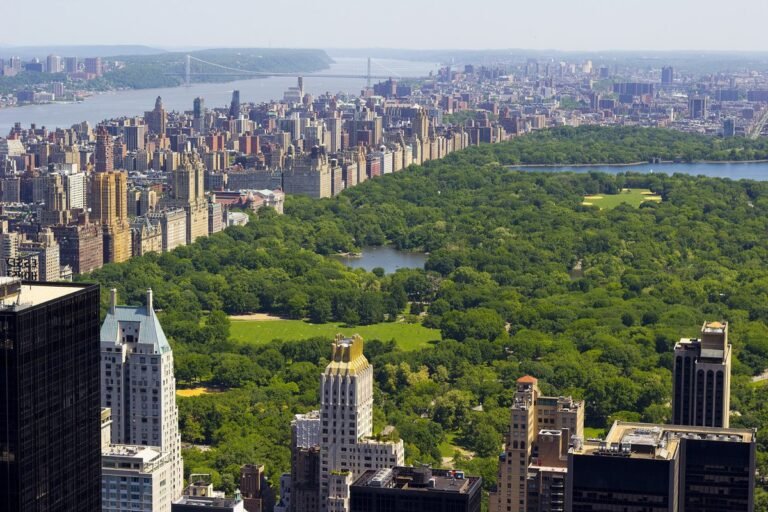 Zohran Mamdani dévoile son plan visant à augmenter la canopée des arbres de New York à 30 % d'ici 2040.