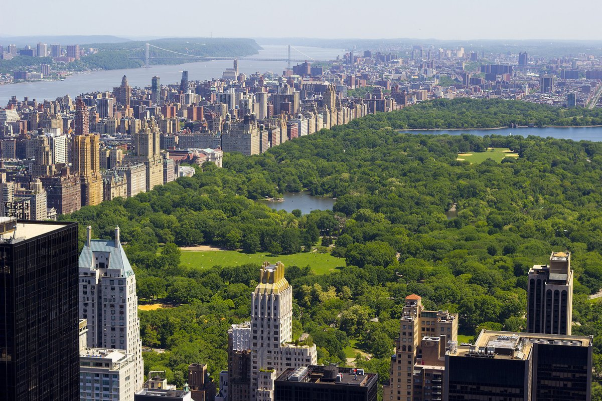Zohran Mamdani dévoile son plan visant à augmenter la canopée des arbres de New York à 30 % d'ici 2040.