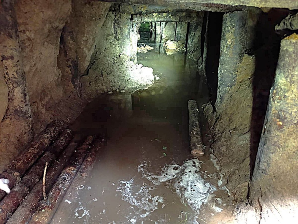 🇱🇹 La Lituanie a accusé le régime biélorusse d'aider les migrants illégaux à construire des tunnels sous…