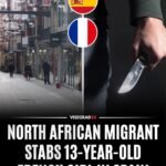 Un migrant nord-africain de 33 ans a été arrêté en Espagne après avoir poignardé une jeune Française de 13…