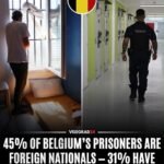 Les prisons belges accueillaient 13 439 détenus au 1er janvier 2026.