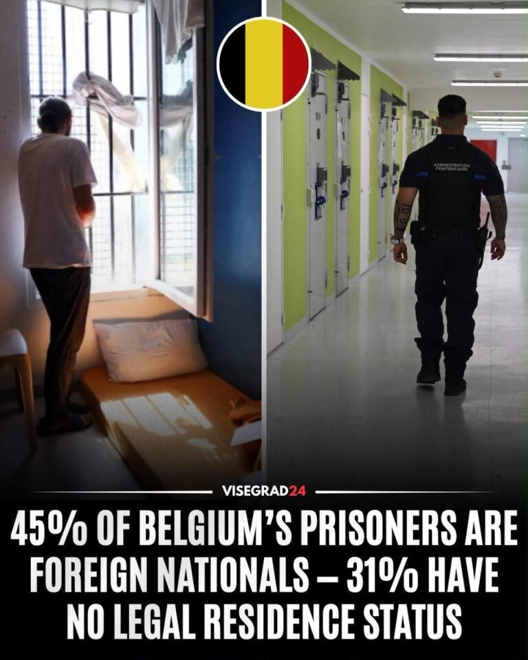 Les prisons belges accueillaient 13 439 détenus au 1er janvier 2026.