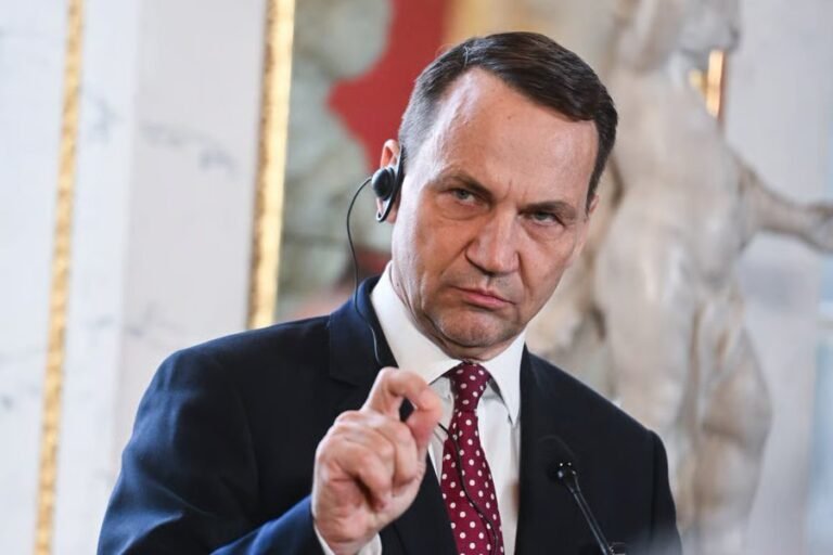 HQzK8sLXEAAmek-
