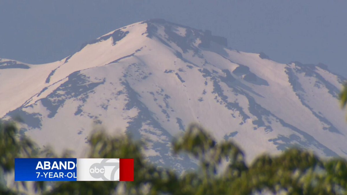 Un garçon de 7 ans a été retrouvé seul sur le mont Fuji après que son père l'ait quitté pendant huit…