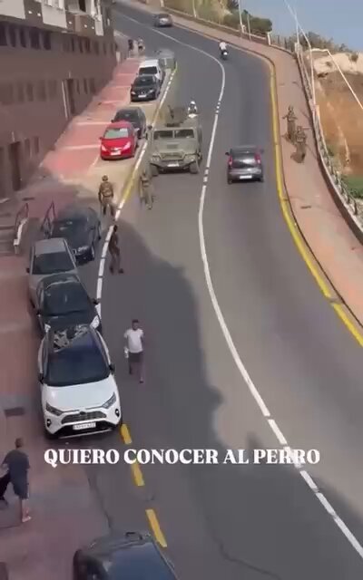 🇪🇸 A Ceuta, les habitants espagnols sortent dans les rues avec des chiens pour se protéger des envahisseurs.