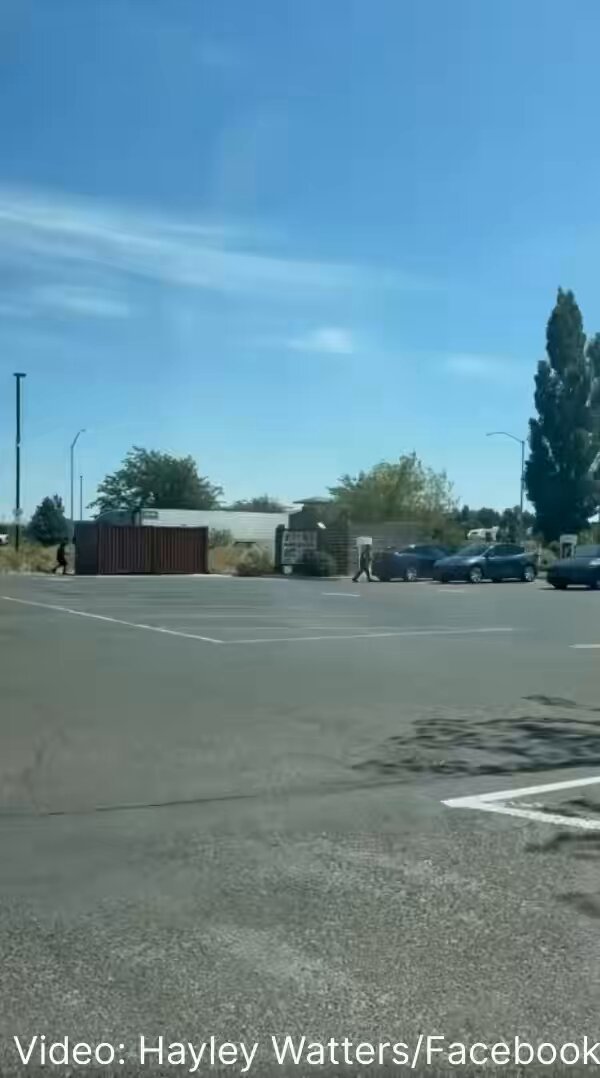 Un homme armé d'In-N-Out tire sur une Tesla garée à Twin Falls, Idaho.