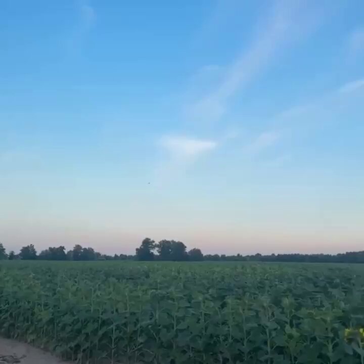 Images d'un Mirage 2000-5F fourni par la France et en service en Ukraine, abattant un drone d'attaque…