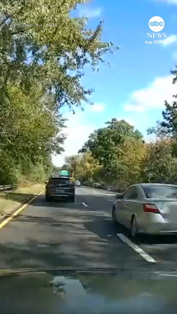 La vidéo Dashcam d'une collision arrière mise en scène sur une autoroute de New York a aidé à lancer une…