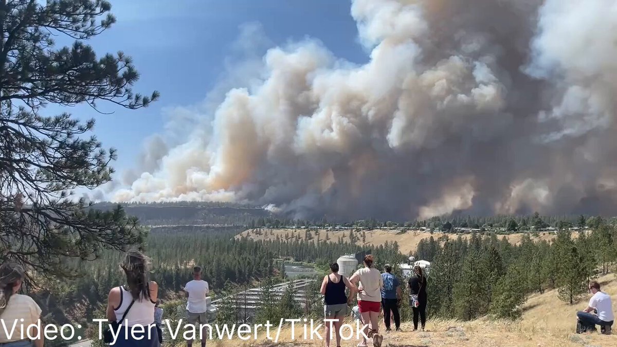 Un incendie de forêt massif se propage dans l’est de Spokane, dans l’État de Washington ; Le scanner…