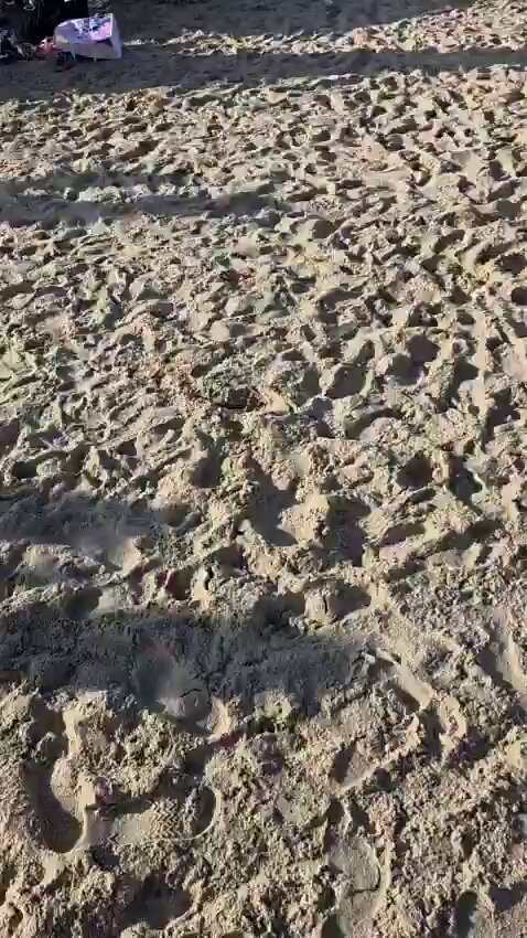 Israël a testé son système de défense aérienne Arrow lors d'un essai planifié à l'avance.