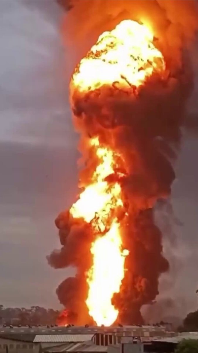Un incendie massif et de multiples explosions ont été signalés dans une usine chimique à Itaquaquecetuba,…