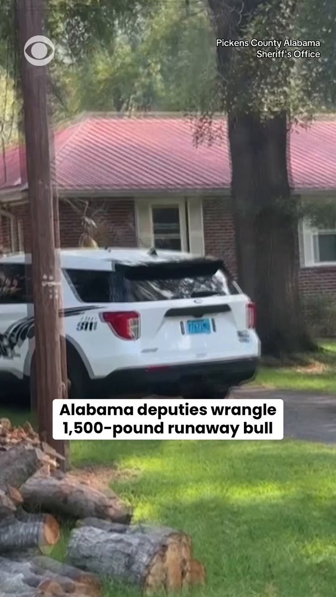 Les autorités de l'Alabama se sont battues contre un taureau en fuite de 1 500 livres après l'avoir…