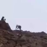 Un soldat marocain lance une grosse pierre sur un migrant clandestin près de Ceuta 🇪🇸🇲🇦